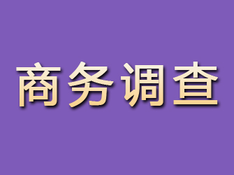 武侯商务调查